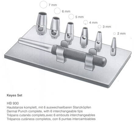 DERMAL KEY PUNCH SADA 2-7MM HB930